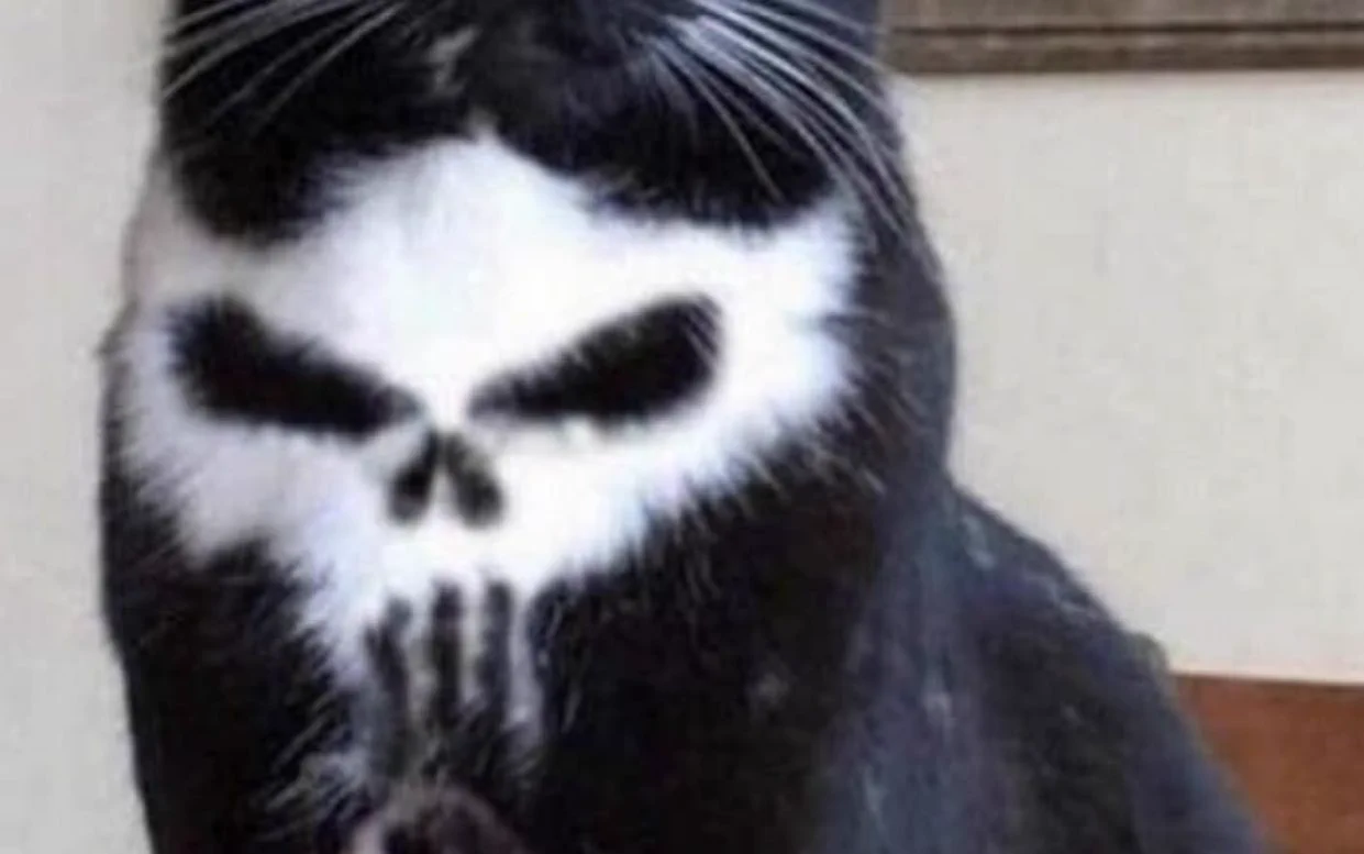 猫の胸元にドクロが・・・！自然でこれはすごくないか！？