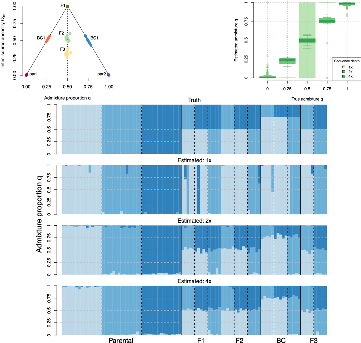 molecology's tweet photo. Method for inferring hybridization and introgression from autopolyploid &amp; mixed-ploidy individuals using genotype-likelihood data of low-coverage sequencing depth, with a novel method for estimating inter-source ancestry in early-generation hybrids

Link→https://t.co/soafGXfhdK https://t.co/DuCFlbcQPH