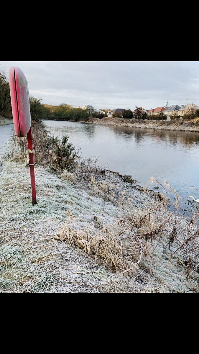 The River Don tweet media