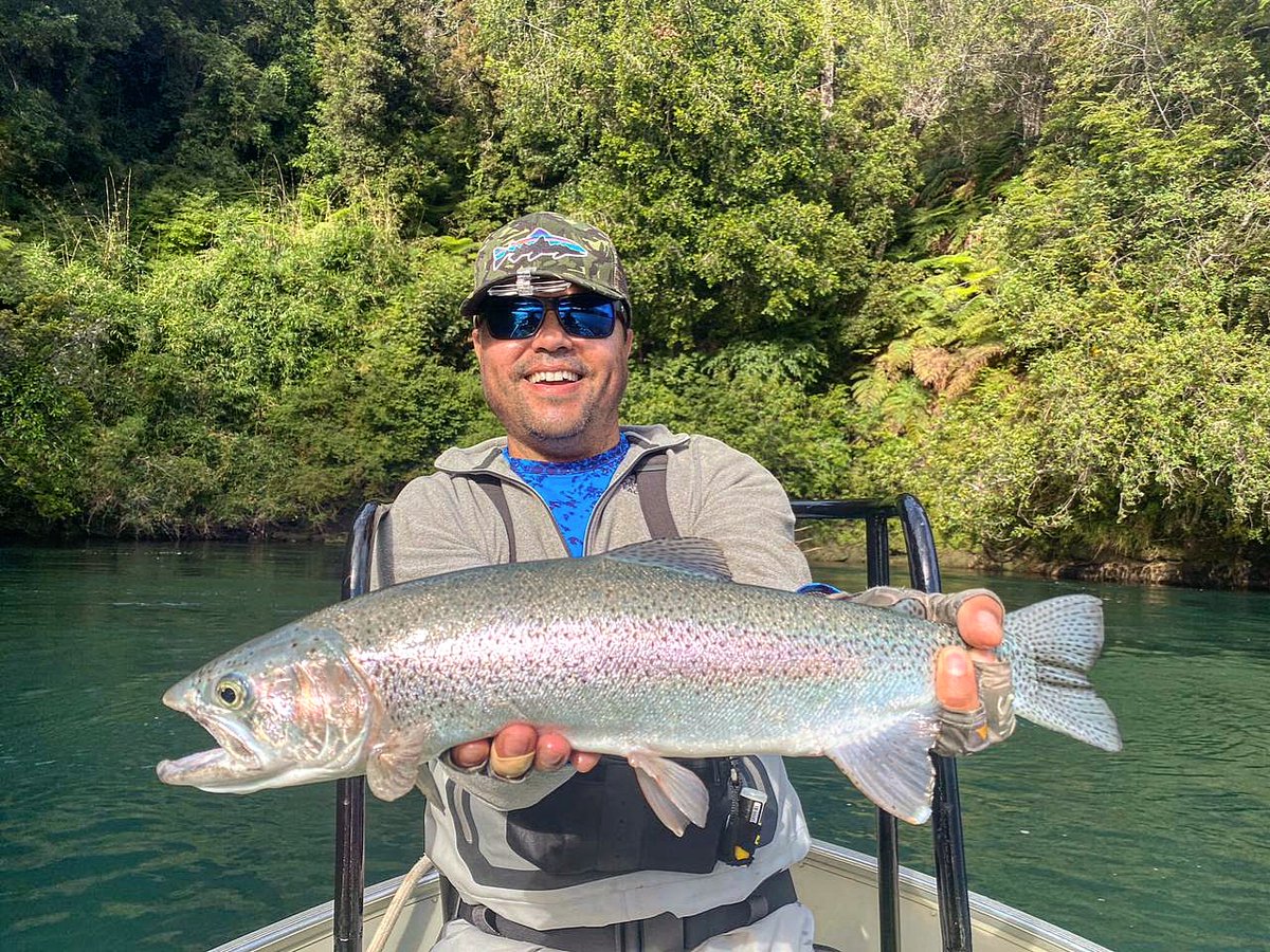 Matapiojoangler's tweet photo. Sight Fishing / Rainbow Trout 
.
.
.
.
#chileanpatagonia #flyfishing #fishingtrip #glamping #sightfishing #rainbowtrout https://t.co/g6CdmzXXSo