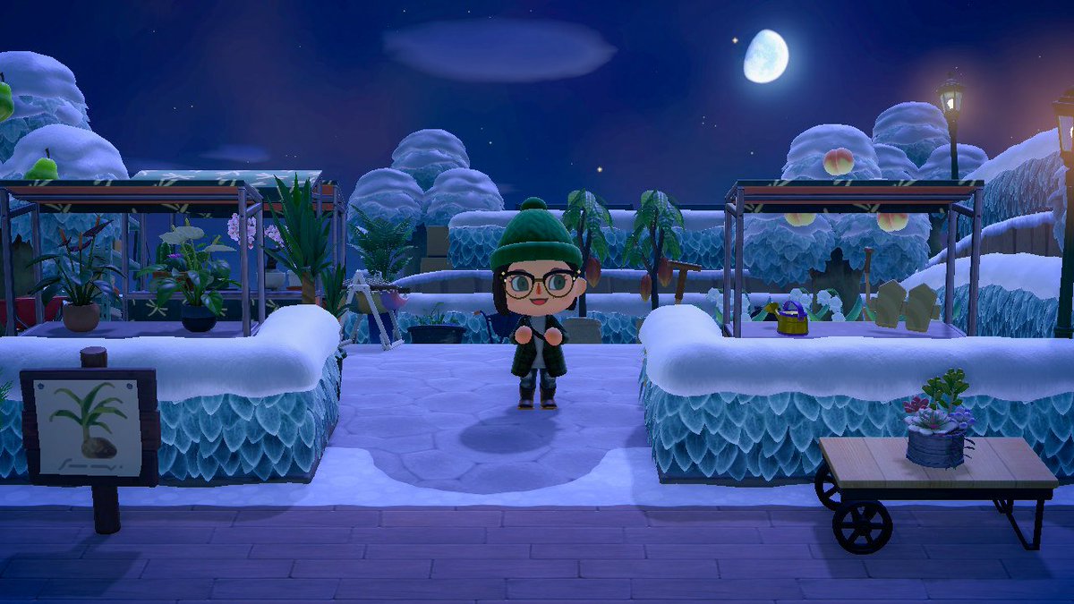 KVSlider's tweet photo. 🌿 Nighttime at the plant market 🌱 https://t.co/iLIkKznRmw