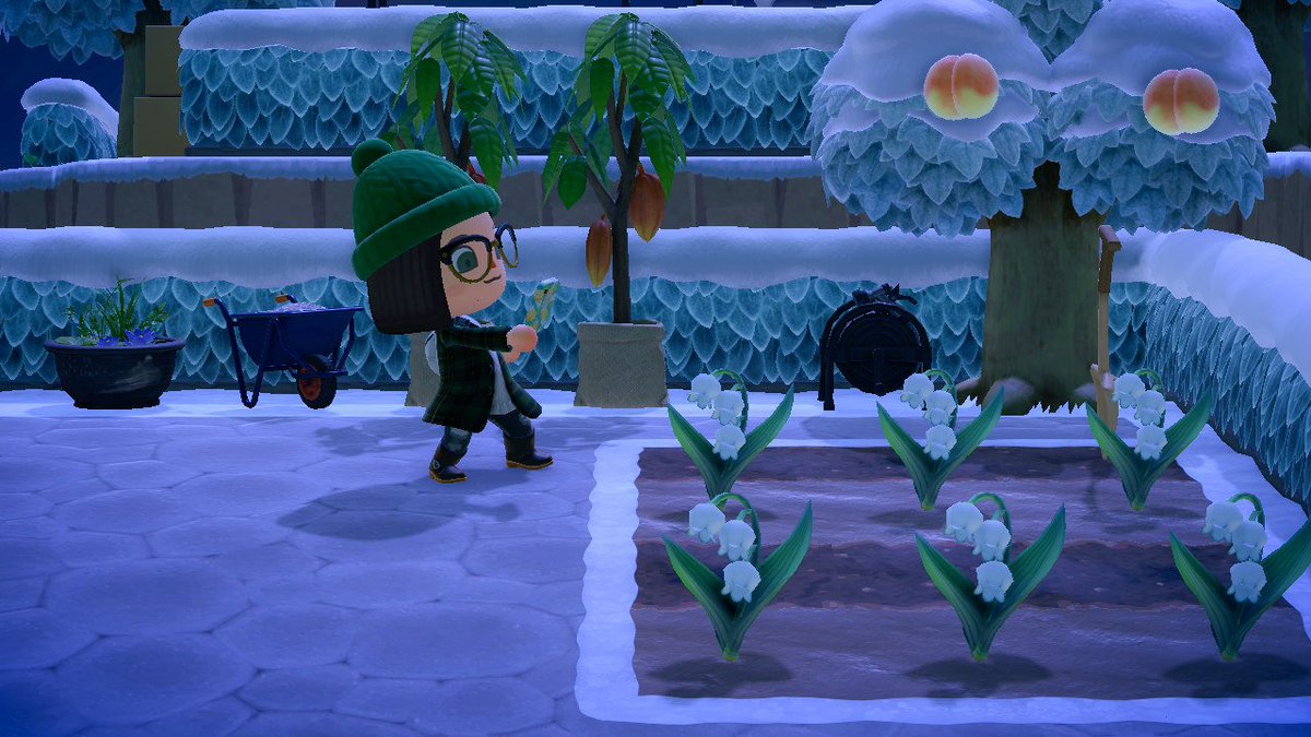 KVSlider's tweet photo. 🌿 Nighttime at the plant market 🌱 https://t.co/iLIkKznRmw