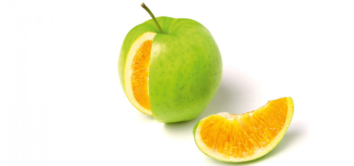 jamenta's tweet image. "Our perception of reality is not the same as the nature of reality."  ~Jason Smith  #RNR #p27 #Jung