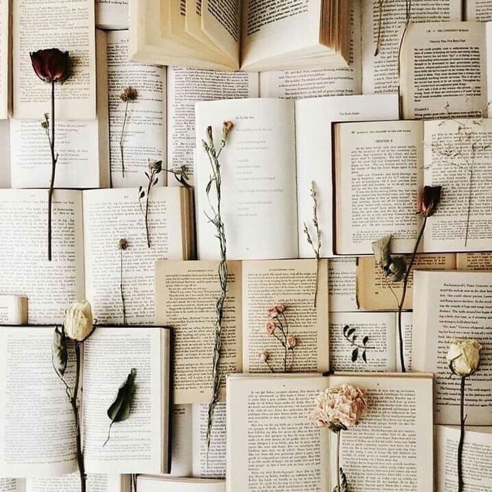 LEEOSKING's tweet image. ≻𝗅𝗂𝗏𝗋𝗈𝗌 𝖾 𝖼𝗈𝗇𝗍𝗈𝗌 𝗅𝗂𝖽𝗈𝗌 𝖾𝗆 𝟸𝟶𝟸𝟷®