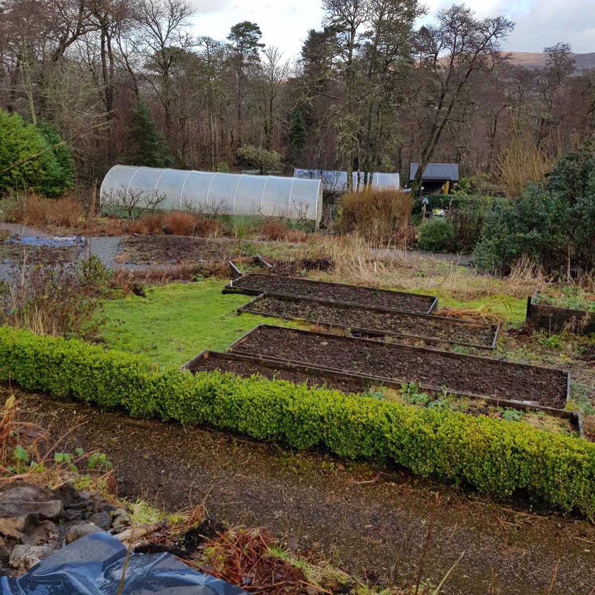Viewfieldgarden tweet media