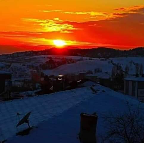 Loverofnature8's tweet photo. https://t.co/L7m8dvcbCk