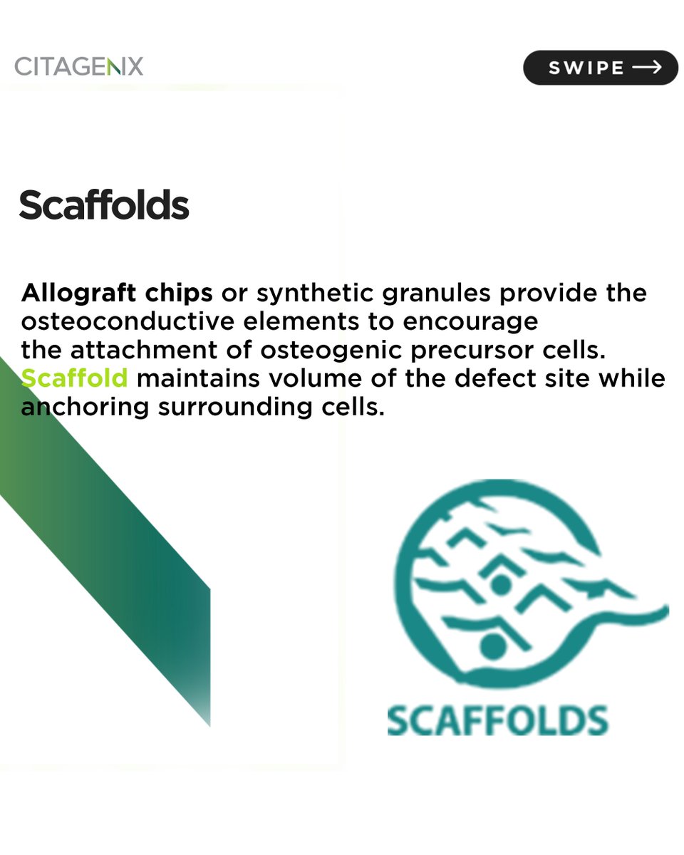 Citagenix's tweet photo. Osteoconduction provides the guidance, osteoinduction encourages the transformation of undifferentiated cells to active #BoneCells and osteogenesis, living osteoblasts within the #graft material aid in the bone renovation process. https://t.co/bFSFJHb8K5
#dentistry #oralsurgery https://t.co/NpCuJosIMp