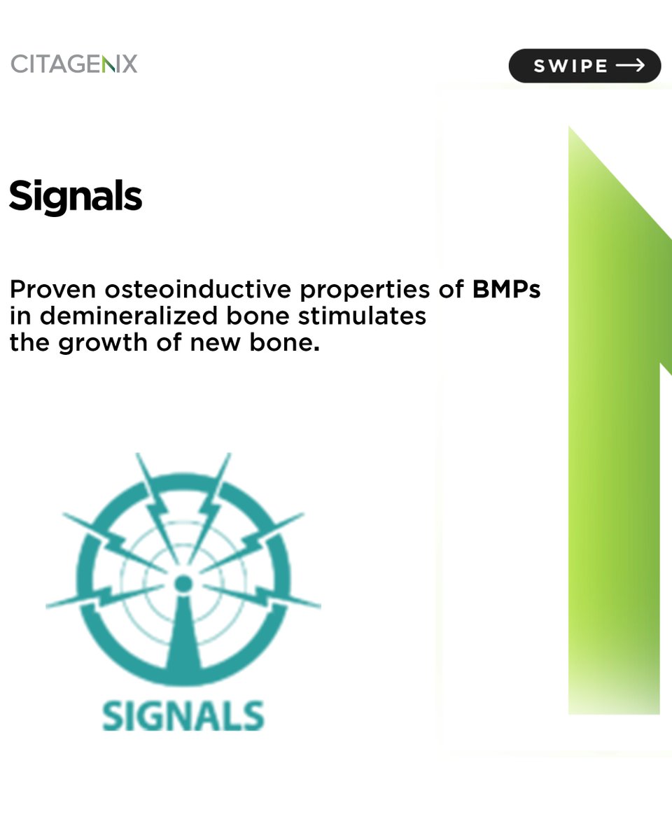Citagenix's tweet photo. Osteoconduction provides the guidance, osteoinduction encourages the transformation of undifferentiated cells to active #BoneCells and osteogenesis, living osteoblasts within the #graft material aid in the bone renovation process. https://t.co/bFSFJHb8K5
#dentistry #oralsurgery https://t.co/NpCuJosIMp