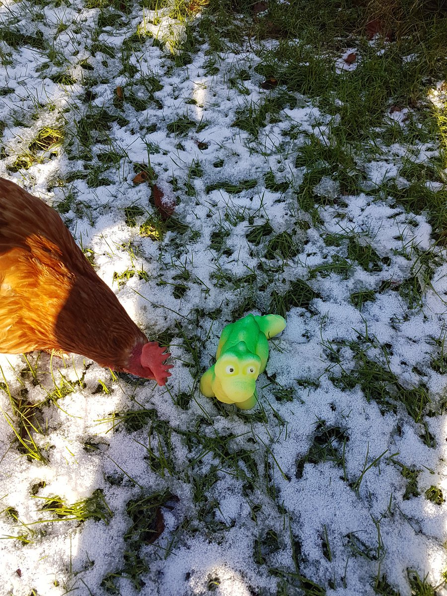 HelenePopp6's tweet photo. On the meantime, Tobysaurus has become a beloved member of our little family https://t.co/sgNfdPzBcR