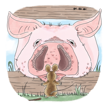 ABarnmouse's tweet photo. Snow days are perfect for #reading #stories together. #kidslit #kidsbooks @FordhamPR @intlchildbook @booksforkidsorg Meet Archie the #mouse &amp; his #farmyard friends at https://t.co/KgWBxq8IVE https://t.co/CG6FPr9mKc