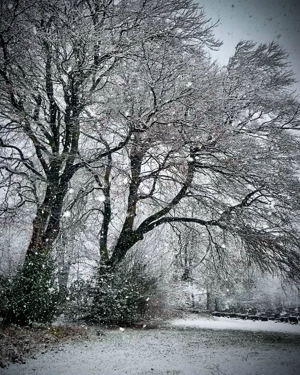 Winter wonderland...❄️❄️#ridgemont <a href="/HorwichFirst/">Horwich First</a> <a href="/HAdvertiser/">Horwich Advertiser</a> <a href="/AboutHorwich/">about horwich</a> <a href="/LancashirePics/">Pictures of Lancashire</a> <a href="/BBCNWT/">BBC North West</a> <a href="/OwainWynEvans/">Owain Wyn Evans</a>
