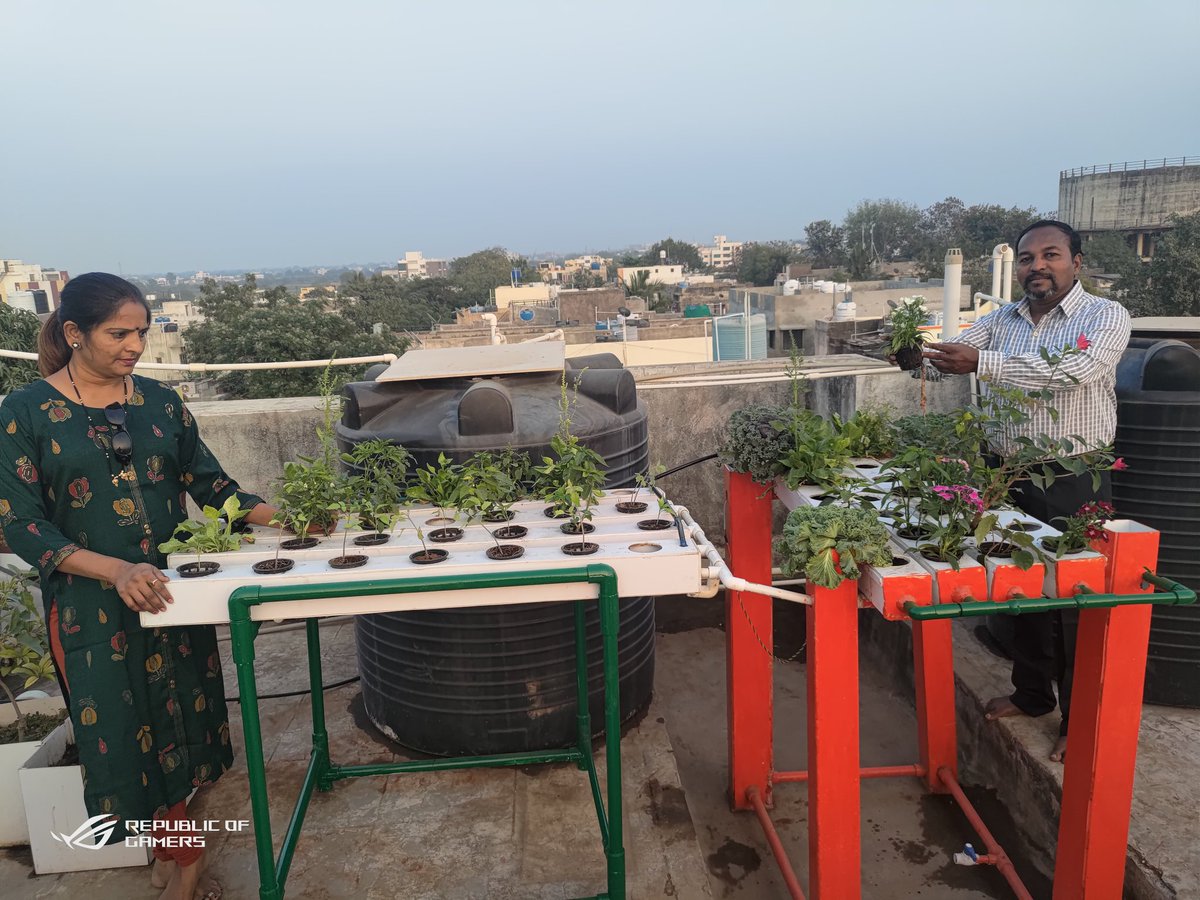 DipakJamodkar's tweet photo. Hydroponic system made from better quality materials of Jain Irrigation Systems Limited Jalgaon @JainIrrigation @TimesNow @timesofindia @MiLOKMAT @abpmajhatv @indiatvnews @FALIAgriculture @SakalMediaNews https://t.co/QGLdQ6ywTT