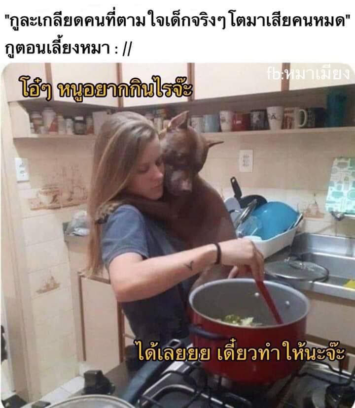 pagsmong's tweet photo. #มีมตลก https://t.co/xsdna1Q81Q