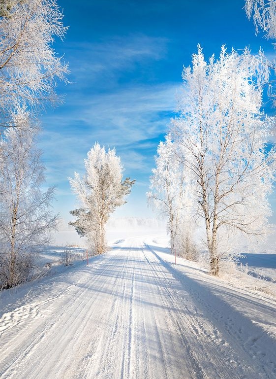 G.K. (@gk120652) on Twitter photo 