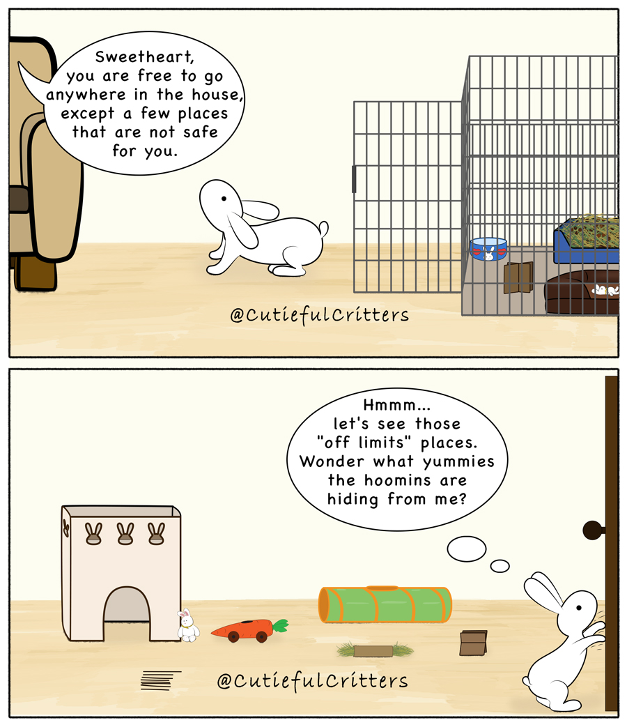 Somehow it's always more fun to go where they are not supposed to. 🙃🥰

#BunnyLogic #mybunnyismychild #spoiledbunny #SweetBunnies #CuteBunnies #BunniesRule #bunnycomics #bunnylife #bunnylove #bunnyrabbit  #bunnylover #bunnyart #rabbitart #bunnydrawing #wildlifeart #illustragram