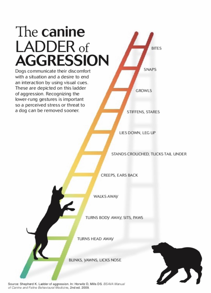 4. Several studies found that people tend to be more proficient at interpreting happiness than fear in dogs and that subtle signals of fear or distress, such as those at the bottom and middle of this “ladder of aggression,” are particularly difficult to interpret.  #AnimBehav2021