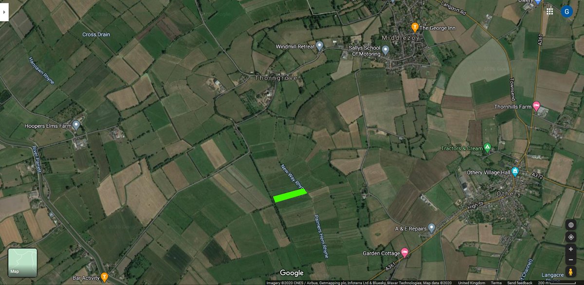 We have already started and here is the first patch of land taken away from dairy to become an oasis to help our endangered wildlife. Lets turn more of these patches vegan green.  #VeganLandMovement Saving lives, saving the earth.