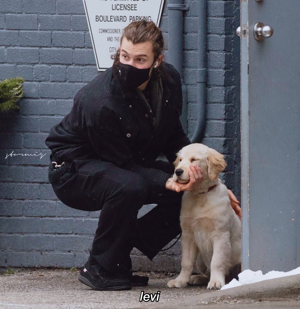 levimrcg's tweet image. ꙳ We're dancin' on the edge of anxiety's ledge and I might fall again, I might fall. We're walkin' on a rope of worry and I hope that I don't fall again, I don't fall. Take me somewhere I can be, I can be myself. Oh, take me somewhere I am free.