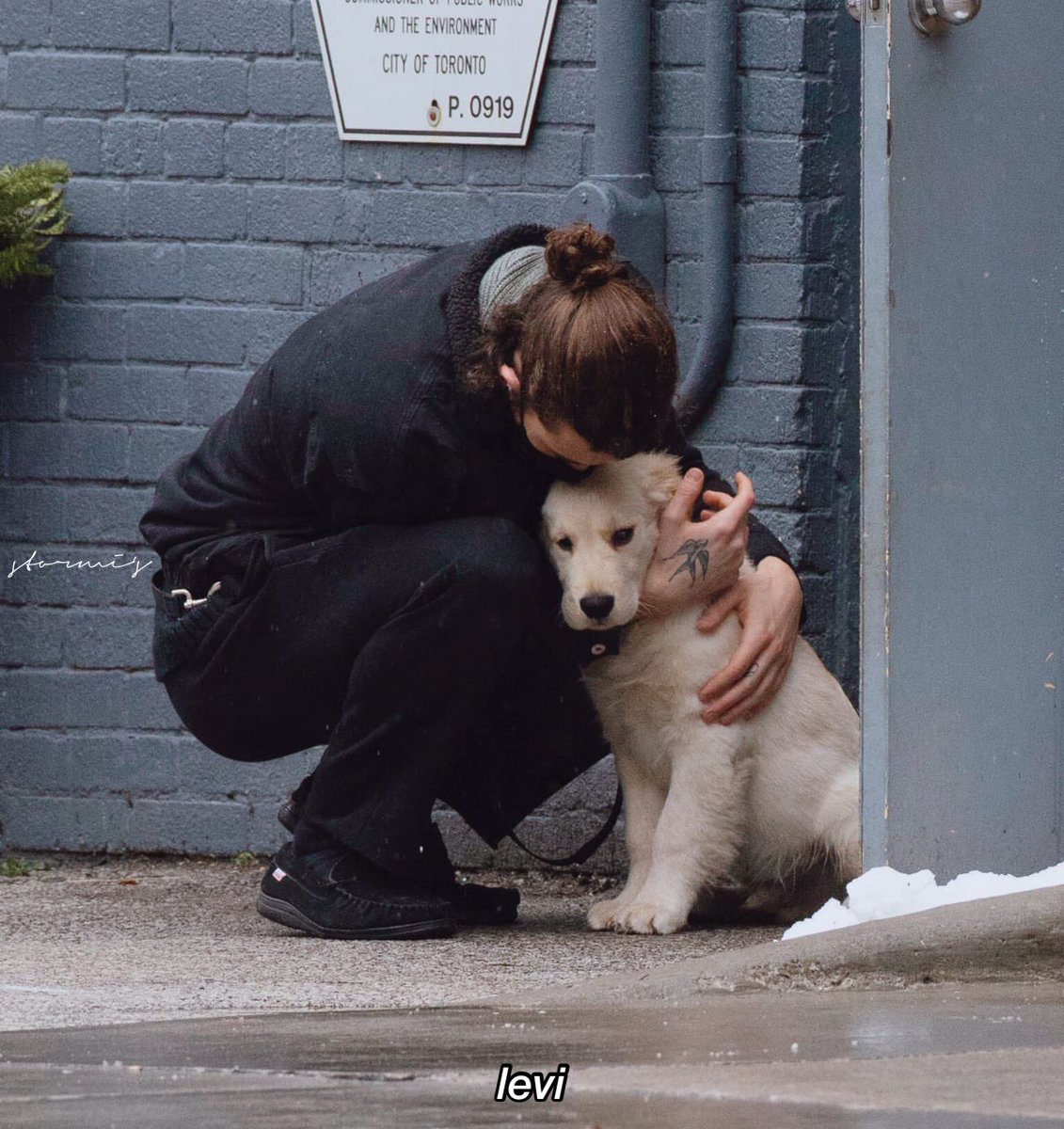 levimrcg's tweet image. ꙳ We're dancin' on the edge of anxiety's ledge and I might fall again, I might fall. We're walkin' on a rope of worry and I hope that I don't fall again, I don't fall. Take me somewhere I can be, I can be myself. Oh, take me somewhere I am free.