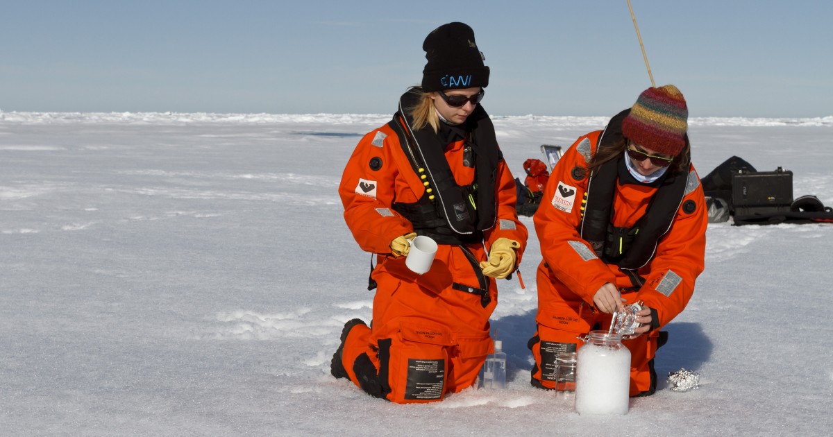 Scientists find plastics in Arctic ice, snow, and water column. Microplastics were found in ice cores. So, they looked for and found microplastics in the Arctic water column, underscoring the threat plastic pollution poses to marine life in even the remotest waters on the planet.