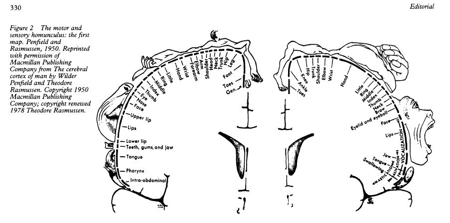 #OTD of 1891 was born Wilder Penfield. In 1950, in the monograph entitled "The cerebral cortex of #man", Penfield (with Rasmussen) illustrated the cortical map of the somatosensory homunculus.
#histmed #Neurology #brain #neurologia #science #history #Medizin #historiamedica
