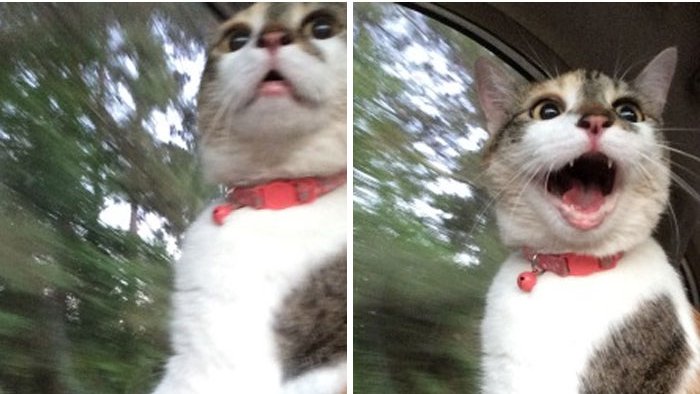 rarebeauty's tweet photo. Me when I heard @selenagomez uploaded a new video on our YouTube channel https://t.co/kN0uYQjrvW