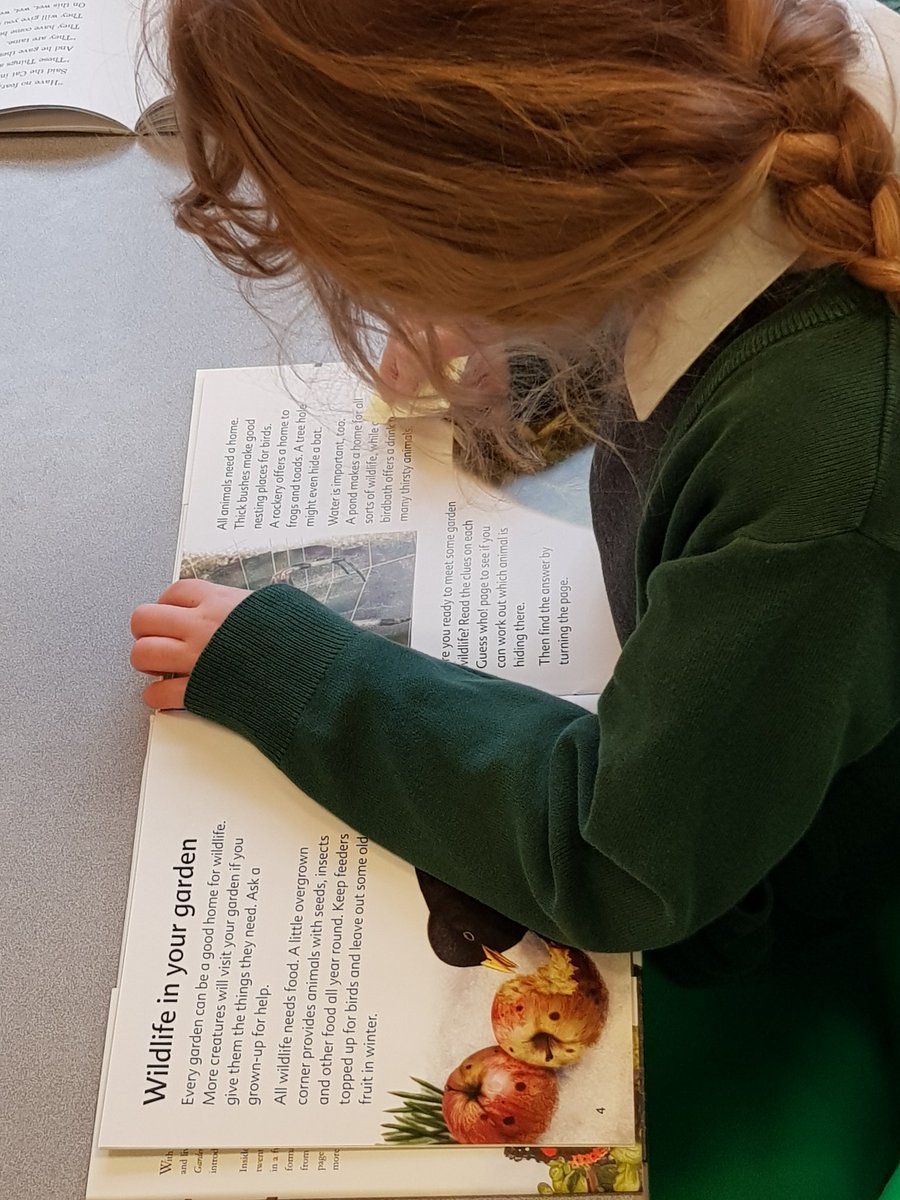 KPSFeed's tweet photo. Really lovely to see our #KPSYear1 children's amazing enthusiasm this morning when they were asked to read their chosen #KPSSchoolLibrary book! π #KnavesmireCharacter #Enthusiastic #Exhuberant #WeLoveReadingAtKPS https://t.co/wGgXkdQYr9
