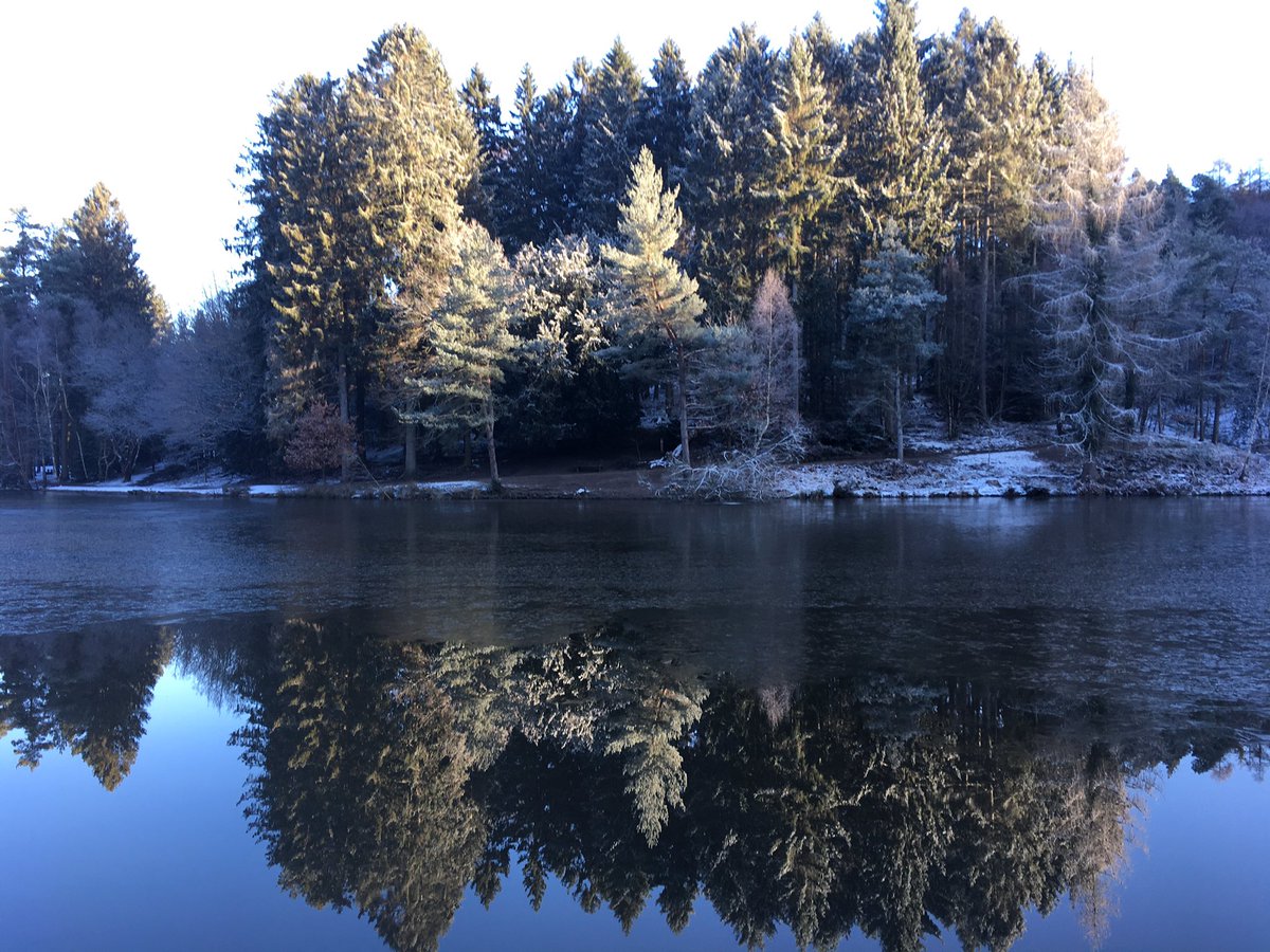 Paullkear tweet media