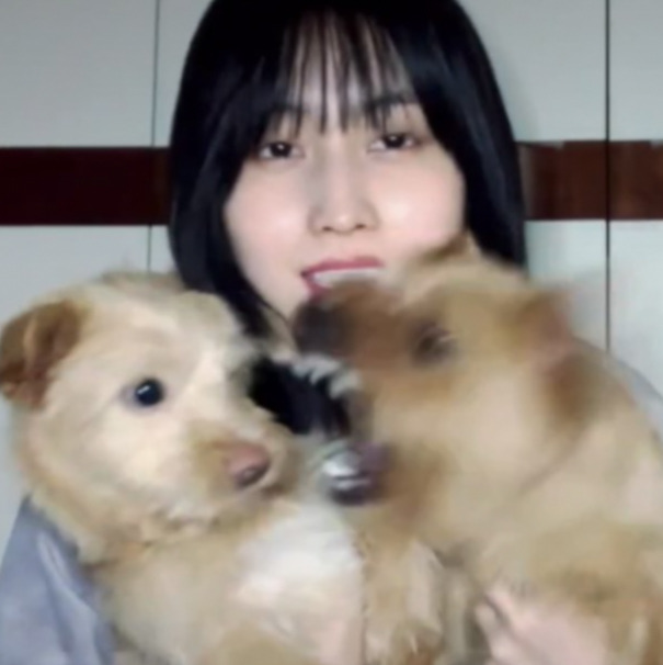 หมาทไว้น่ากลัวมากอิเหี้ย55555555555