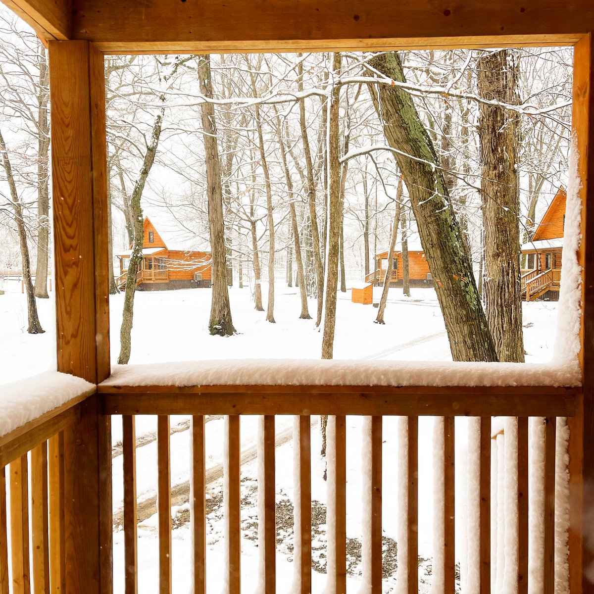 chiefswoodpark's tweet photo. Winter wonderland today βοΈ
#chiefswoodpark #seesixnations #sixnationstourism #cabin #cabinviews #winter https://t.co/BzjVhTv2s5