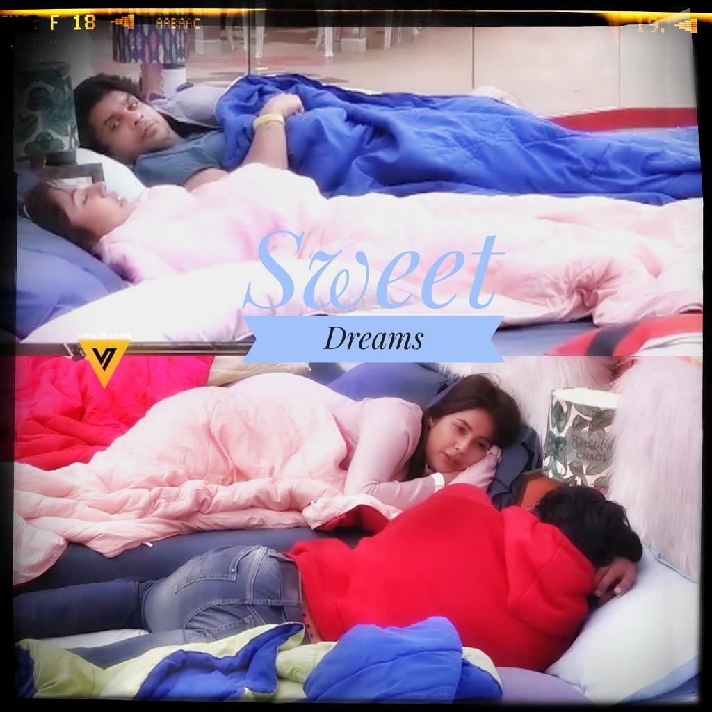'I dream of the day when we say good night and not goodbye.'
❤
 Dedicated to each one of you  who misses last years #bigboss13 #sidnaaz #sidharthshukla #ShehnaazGill