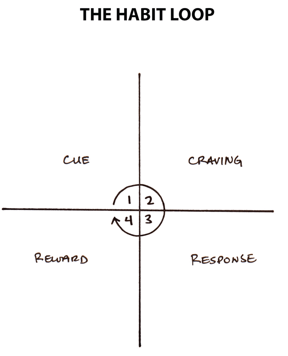 There are 4 laws which form the neurological loop:Cue Craving Response Reward The first two being apart of the "Problem phase"With the latter being apart of the "Solution phase"The Habit Loop allows you to create automatic habits 