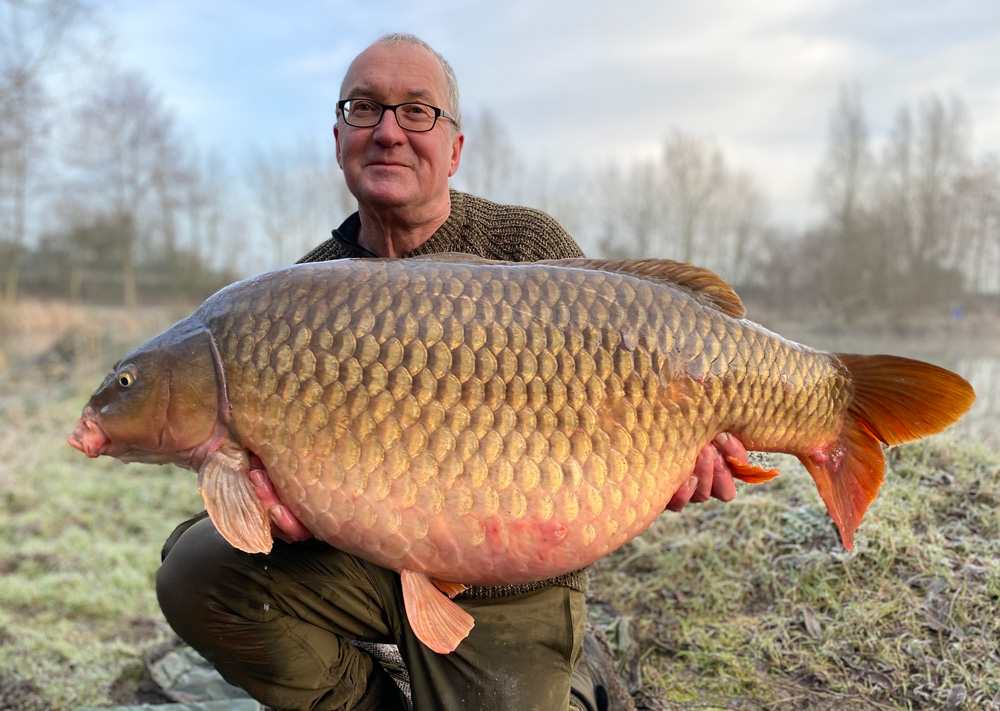 |               Carpfeed.com                | tweet media