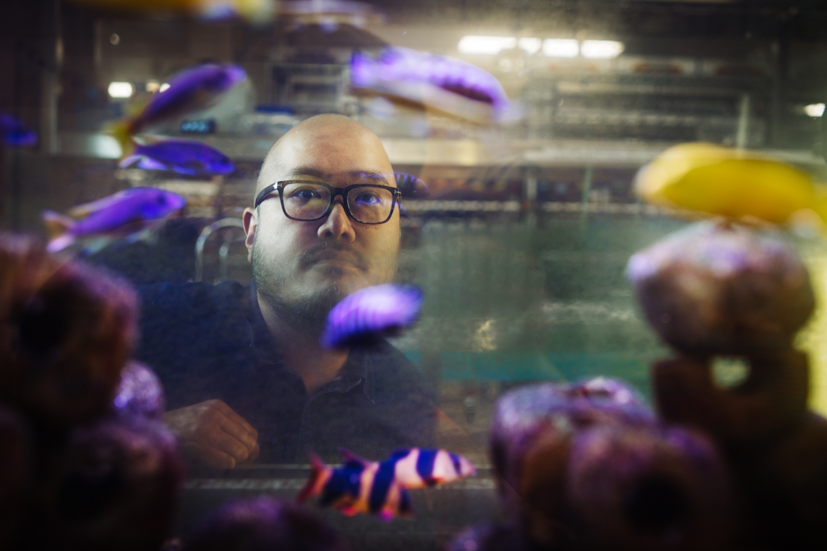 1/15 Hi , I'm Bob Wong , a behavioural ecologist based at  @MonashBiol. In my  #AnimBehav2021 plenary titled, "Drugs in our waterways: Nature's high?", I'll be telling you about some of our research in the  #BobWongLab on how  pollution affects  behaviour.