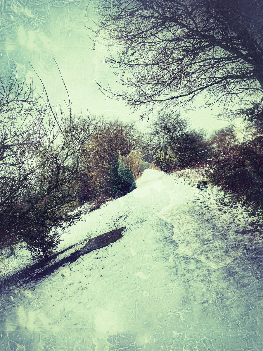 waves_wings's tweet photo. Walked the Isabel Trail around the north side of Stafford today. Dissuaded railway line between Stafford & Uttoxeter. #isabeltrail #stafford #Staffordshire #winterwalk #winterwalks #winter #winter2021 #oldrailwaylines https://t.co/0buGWJU3YG