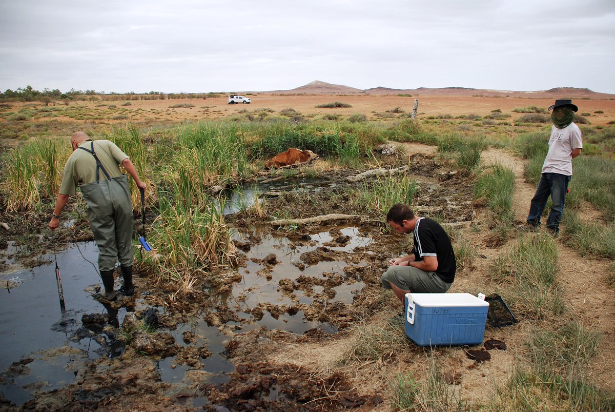 2/15. In my career, I've had the chance to do fieldwork in some pretty amazing places around the. However, even in really remote regions (e.g. Australian ), it was obvious that humans were having a huge effect. I started to: what are the behavioural impacts?  #AnimBehav2021