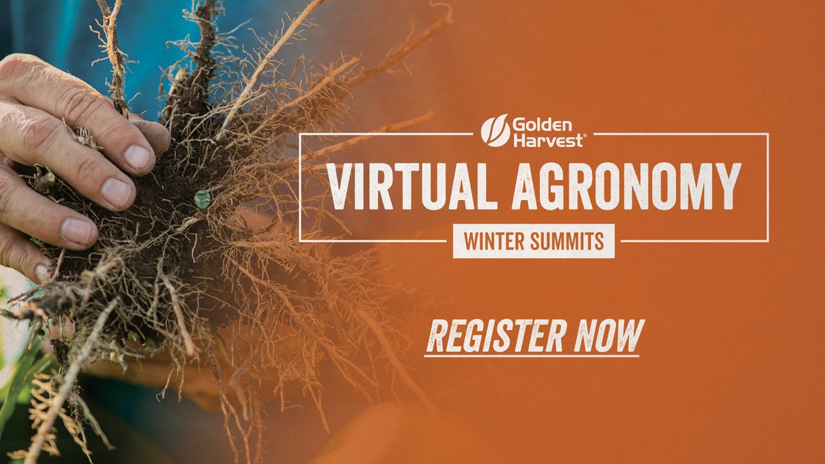 There's still time to join us for our next Virtual Agronomy Summit! #GoldenHarvest agronomists and industry experts will discuss multiple agronomic research insights pulled from a series of trials carried out in 2020. 

Click here to register: ow.ly/uMdq50D7FcU