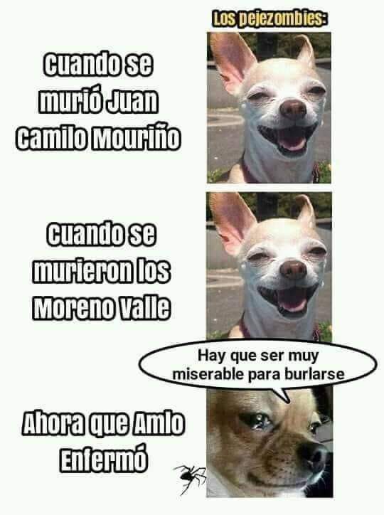 agustin melgar tweet media
