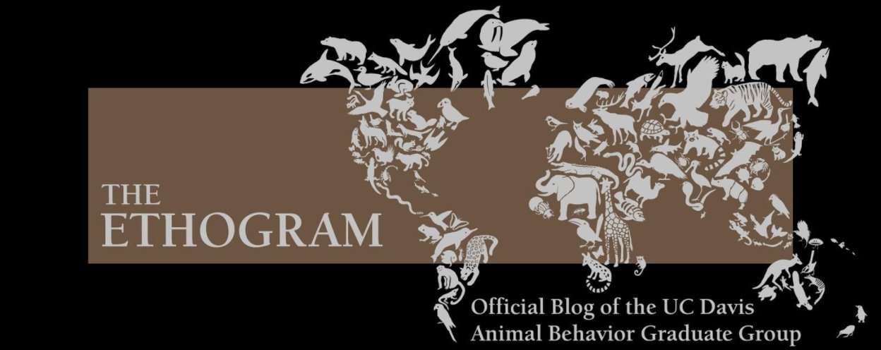 The Ethogram on Twitter: The Ethogram on Twitter: