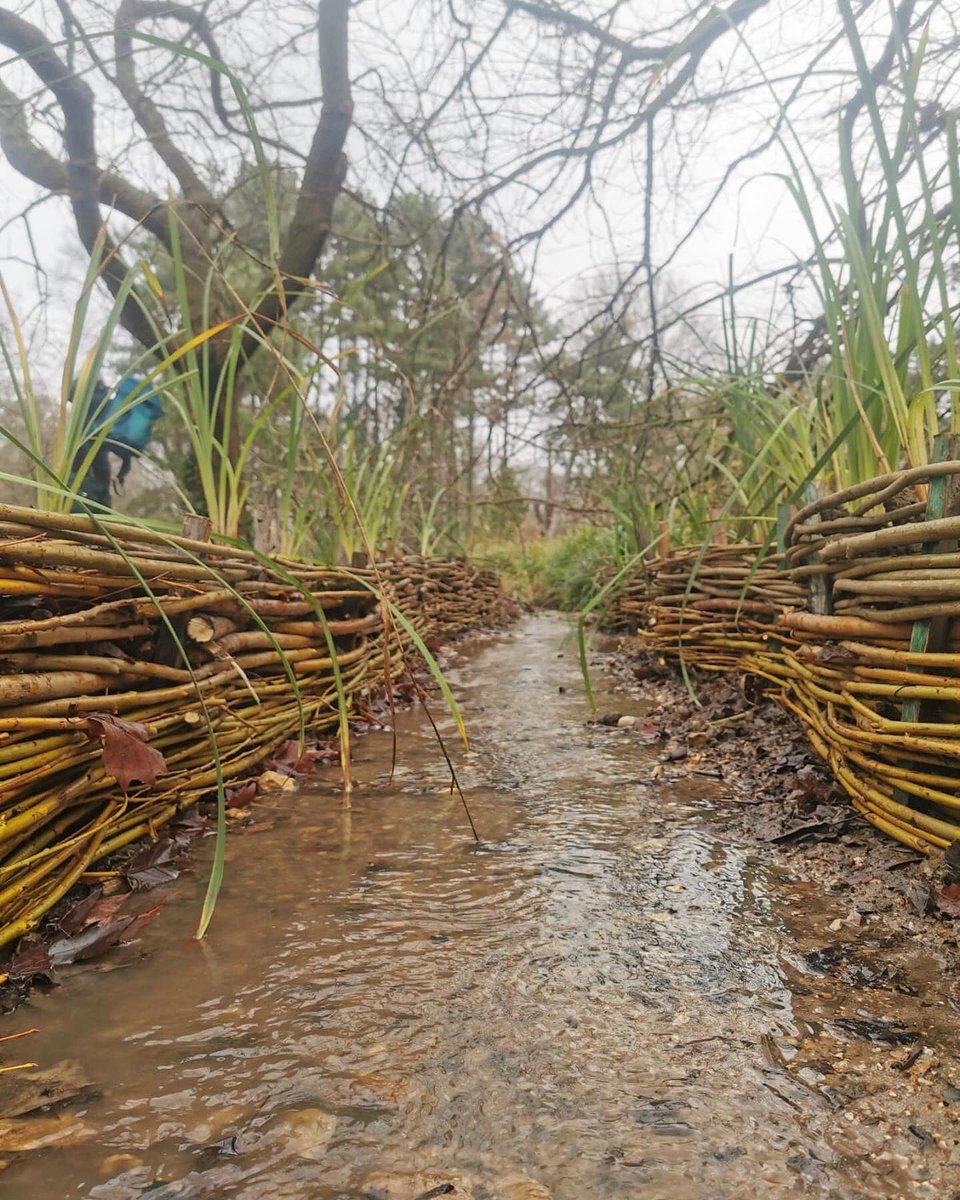 EcoleDuBreuil's tweet photo. Plessage des berges de l’Arboretum par les #apprentis de #brevetprofessionnel 🌳
On nous a chargé de renforcer les berges du ru et de la marre. Elles ont été stabilisées grâce à un procédé de génie végétale : le #plessage d'#osier.
📷 Aurore Avril https://t.co/cVlpQmBycE