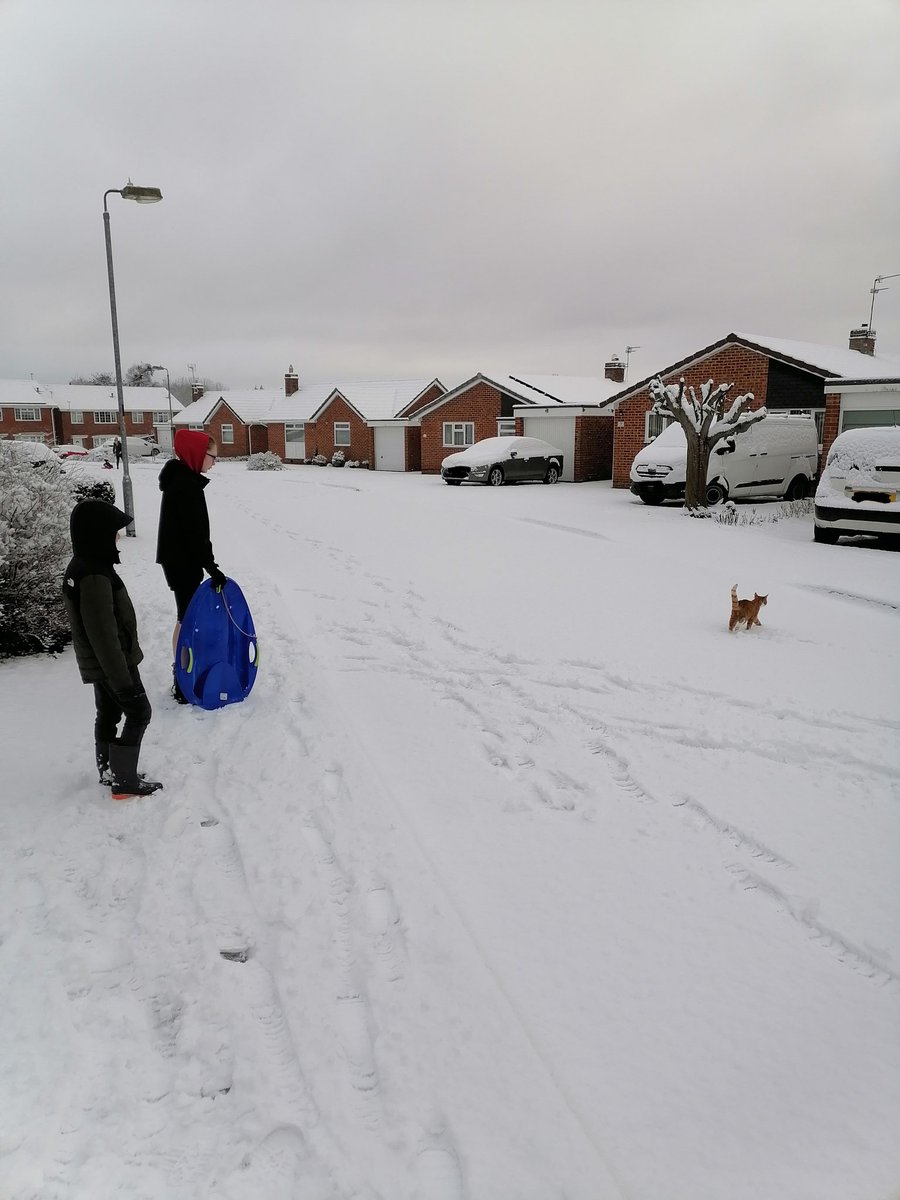 NoelSpiers's tweet photo. @WiltsC_Careers My children think we took the cat for a walk, I think he just kept following us #FirstTimeInTheSnow https://t.co/XXioJjzt9q