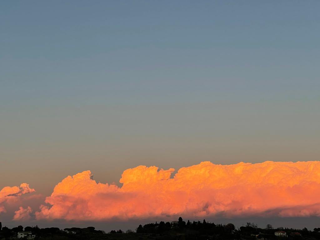 SignoraSax tweet media