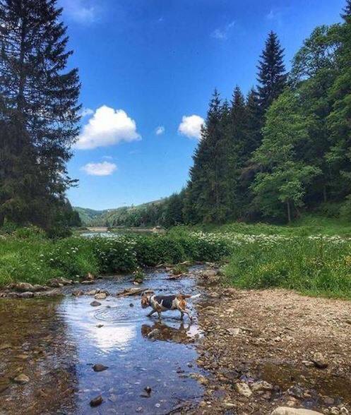 SteMetropole's tweet photo. #SaintÉtienne Métropole à l’écoute de sa biodiversité grâce à @BioPhonia ! L’entreprise stéphanoise permet d’étudier les sons émis par les animaux permettant de suivre des espèces protégées en milieu terrestre dans le but de les préserver 👏👉 https://t.co/ERfQcPKkMw @ronalpia https://t.co/cwGtftxa2M