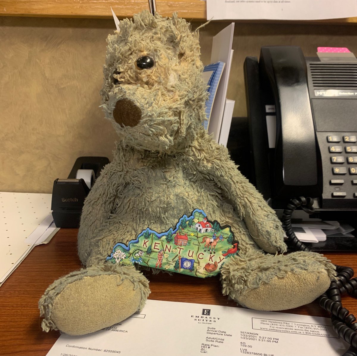 Meet Teddy. Teddy has been my 13-year-old son's buddy since he was two. Sleeping buddy, travel buddy, going-to-the doctor buddy ... one of his besties. Welp, on our whirlwind driving trip to and from Branson, MO we stayed one night at the  @EmbassySuites in Lexington, KY and Teddy