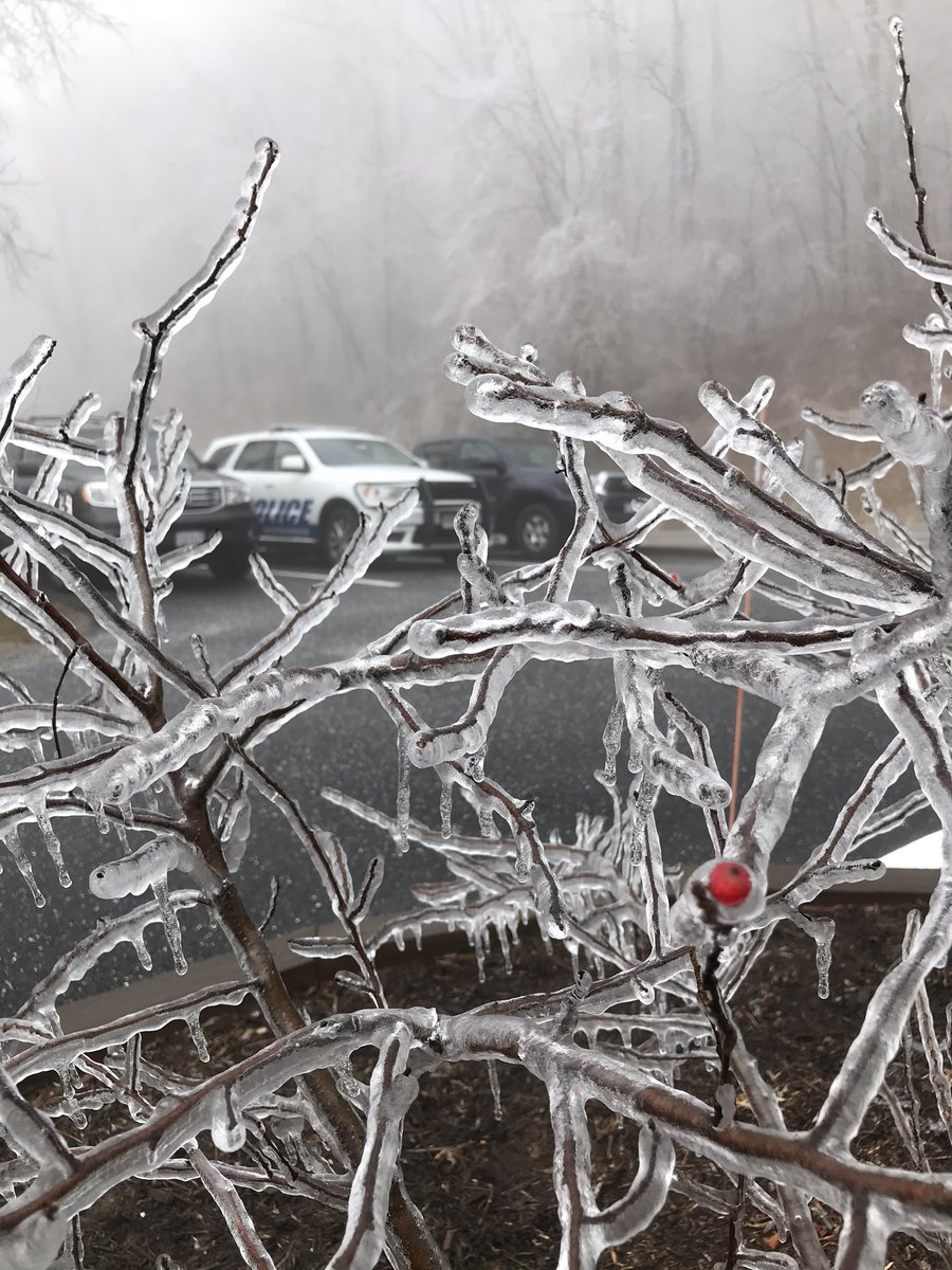 WintergreenPol1's tweet photo. Temperatures are rising &amp; the freezing rain has stopped.  The roadways are shaping up for driving.  Caution still must be used - as the ice breaks off the trees.  Looks like the ice accumulation was about half an inch.  #VAwx #blueridgemountains @WintergreenVA @BlueRidgeLife https://t.co/iQRekNqTPY