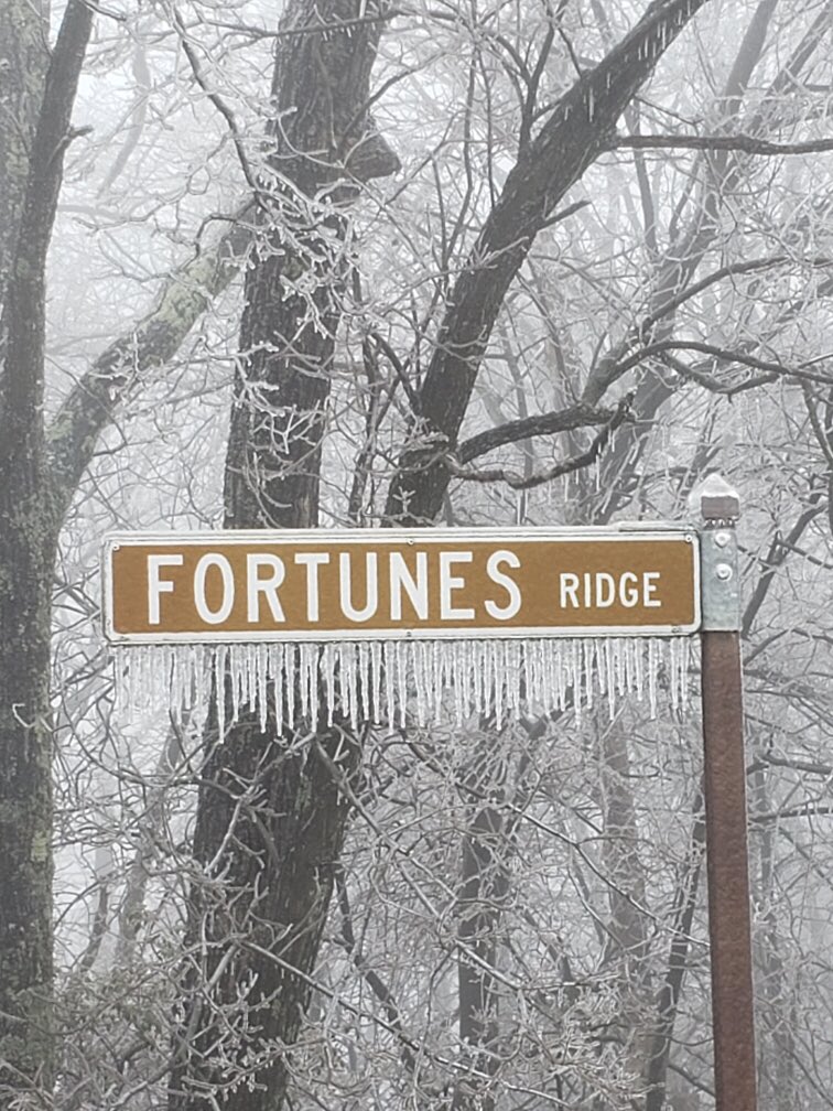 WintergreenPol1's tweet photo. Temperatures are rising &amp; the freezing rain has stopped.  The roadways are shaping up for driving.  Caution still must be used - as the ice breaks off the trees.  Looks like the ice accumulation was about half an inch.  #VAwx #blueridgemountains @WintergreenVA @BlueRidgeLife https://t.co/iQRekNqTPY