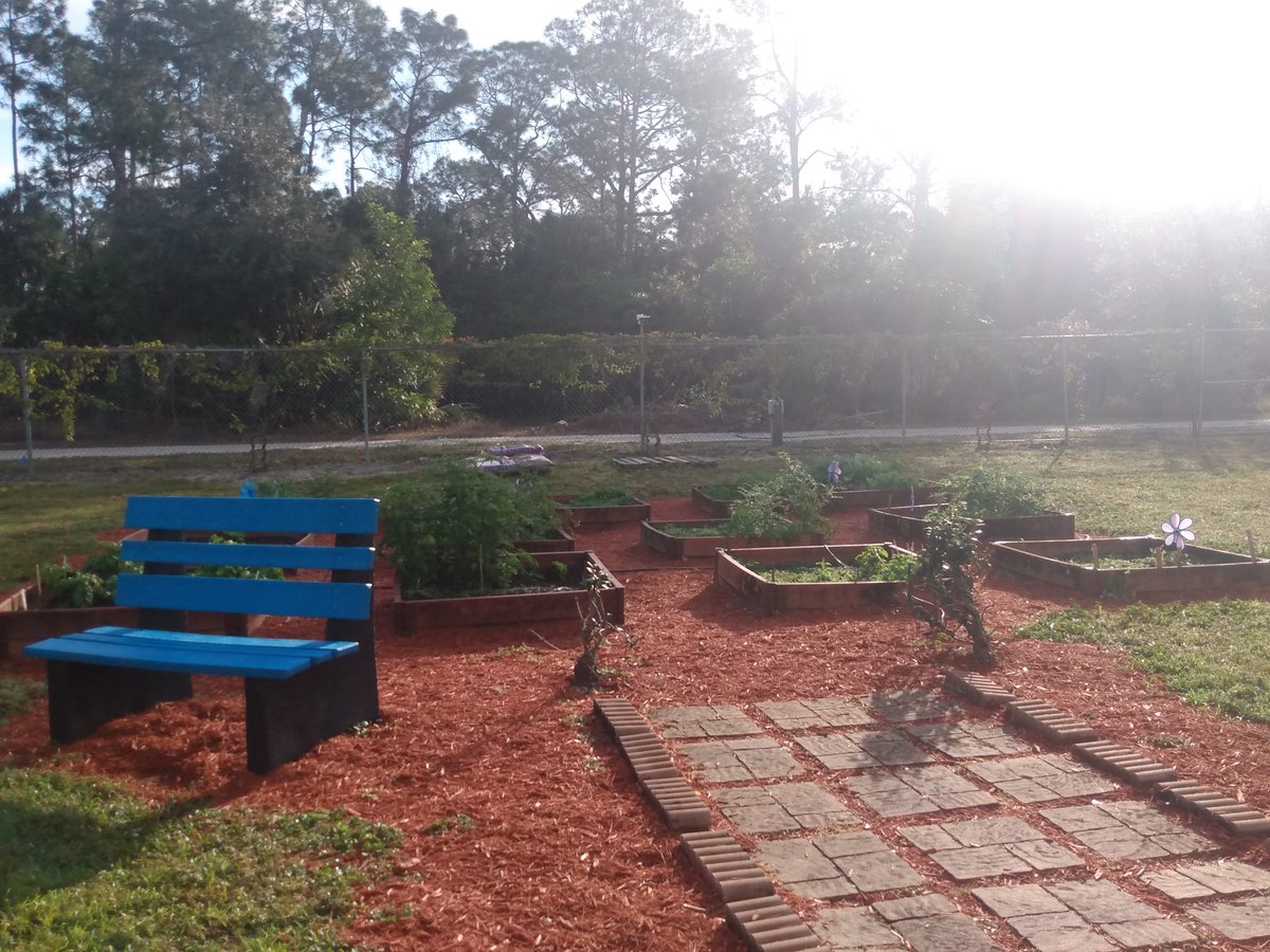 MsBethReynolds's tweet photo. Enjoying the weather and gardens @BCEBobcat https://t.co/8XI2prAjUo