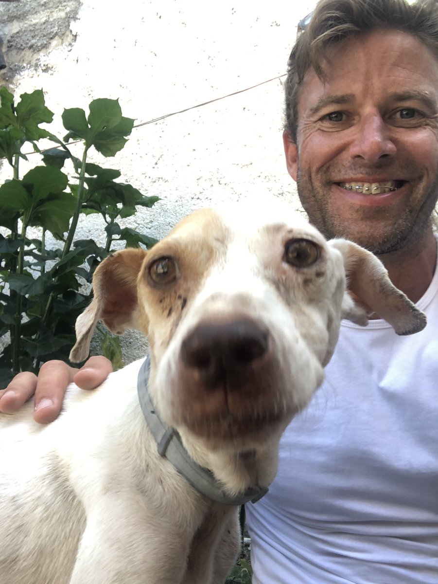 Remember Blanca, who we helped with veterinary treatment, medication and food to help her heal and gain weight. 2 weeks later we are back to visit and see her progress
If you would like to find out more about @FurzAid and support us, please DM. Thanks for supporting Animal Rescue