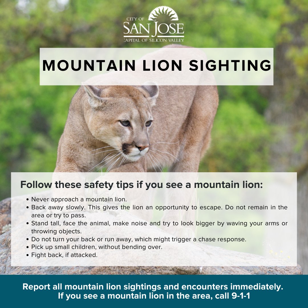 Encountering Wildlife: Six Safety Tips