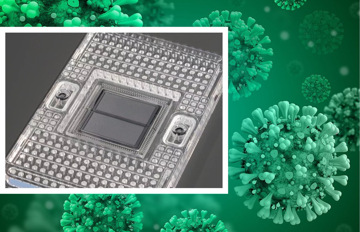 Standard_BioT's tweet image. We are thrilled that Helix Specialty Diagnostics is partnering with Genomic LTC DX to provide #COVID19 #testing using the Advanta™ Dx SARS-CoV-2 RT-PCR Assay on the Fluidigm® Biomark™ HD system.
investors.fluidigm.com/news-releases/…

#Biomark #microfluidics #virusdetection #collaboration